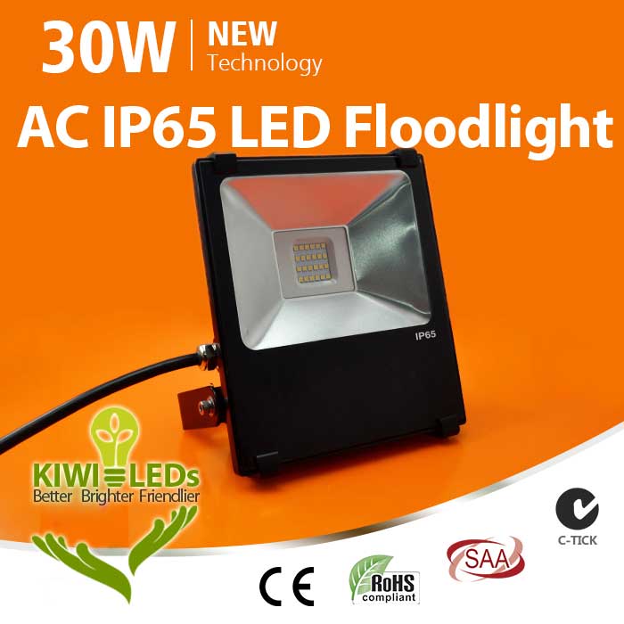 IP65 30W HV LED Floodlight